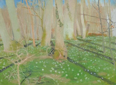 Bosque con anémonas de Maurice Denis